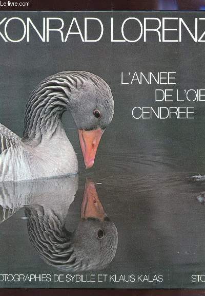 L'ANNE DE L'OIE CENDRE.