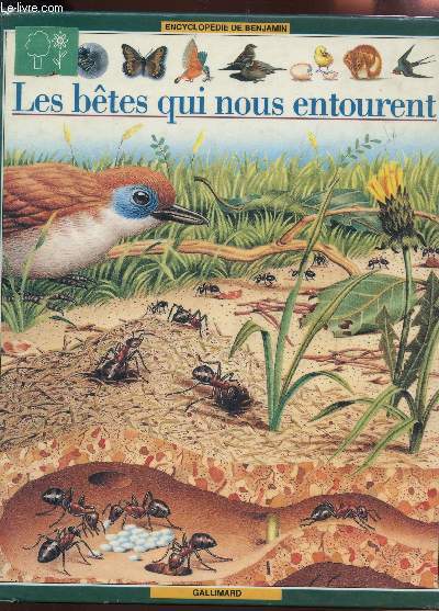 LES BETES QUI NOUS ENTOURENT / COLLECTION 