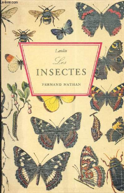 LES INSECTES.