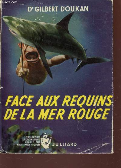 FACE AUX REQUINS DE LA MER ROUGE / COLLECTION 