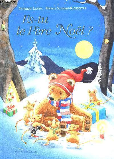 ES TU LE PERE NOEL?.