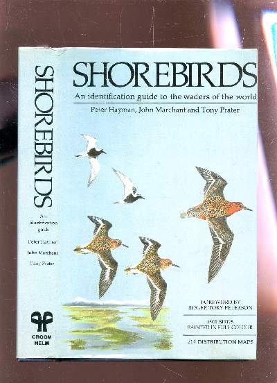 SHOREBIRDS - AN IDENTIFICATION GUIDE TO THE WADERS OF THE WORLD.