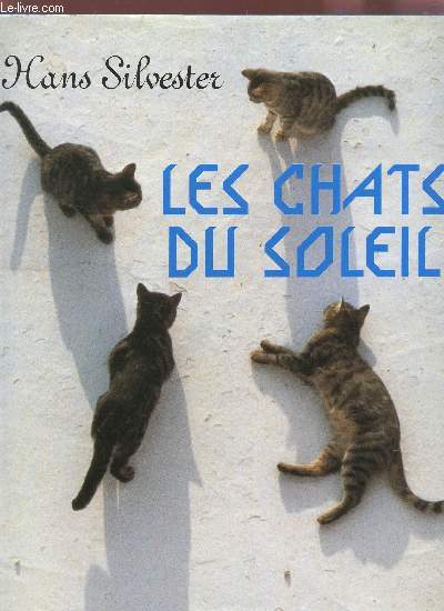 LES CHATS DU SOLEIL.