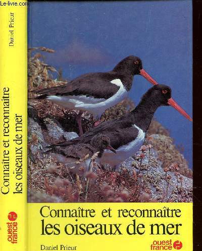 CONNAITRE ET RECONNAITRE LES OISEAUX DE MER.