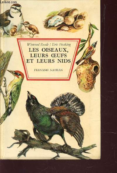 LES OISEAUX, LEURS OEUFS ET LEURS NIDS - REPRODUCTION, OEUFS ET JEUNES.