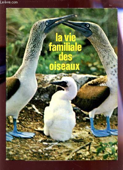 LA VIE FAMILIALE DES OISEAUX.