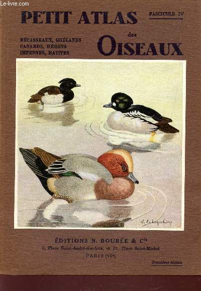 PETIT ATLAS DES OISEAUX / FASCICULE IV : BECASSES - GOELANDS - CANARDS - HERONS - IMPENNES - RATITES.