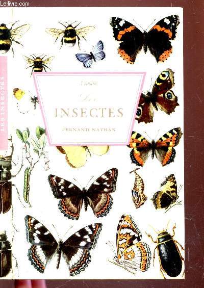 LES INSECTES.