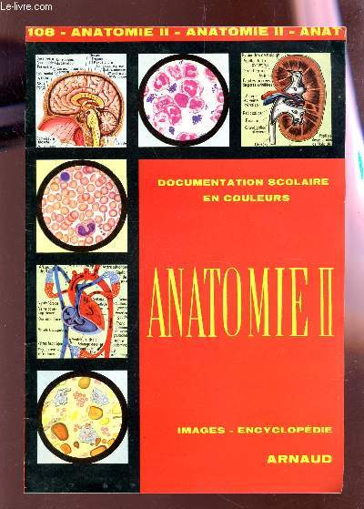 ANATOMIE II / N108 DE LA COLLECTION 