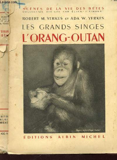 LES GRANDS SINGES : L'ORANG-OUTAN