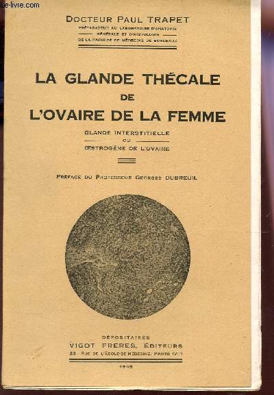 LA GLANDE THECALE DE L'OVAIRE DE LA FEMME - Glande intersistielle ou oestrogene de l'ovaire.