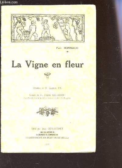 LA VIGNE EN FLEUR