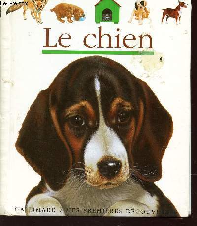 LE CHIEN / COLLECTION 