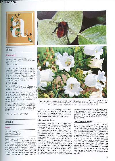 TOUT VOTRE JARDIN - N1 - un art pour faire vivre les fleurs l'Ikebana - Abaca -