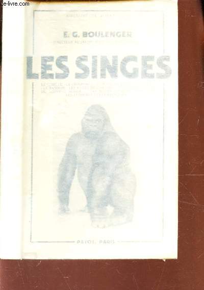 LES SINGES / le gorille, le chimpanz, l'orang-outang, le gibbon, le babouin, les singes de l'ancien monde, les singes du nouveau monde, les singes dans le folklore, les lgendes et les religions.