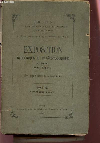 EXPOSITION GEOLOGIQUE & PALEONTOLOGIQUE DU HAVRE - EN 1877 / TOME VI - ANNEE 1879 / (BULLETIN DE LA SOCIETE GEOLOGIQUE DE NORMANDIE)