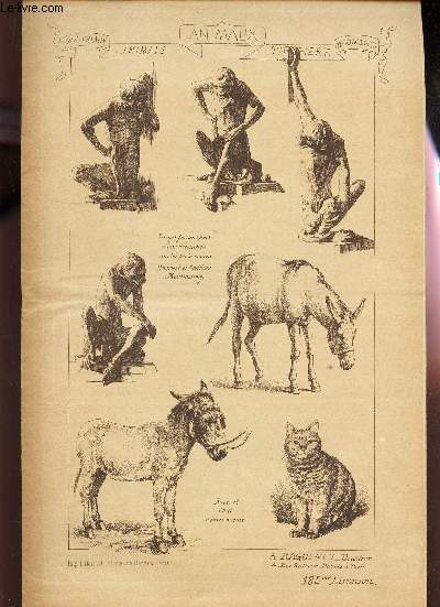 185 eme livraison / Singes faisnat partie d'une decoration execute par la maison Humbert et Cuvillier / Anes et chats d'apres nature / Chiens et chiennes etc...