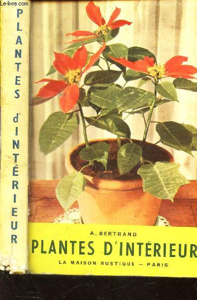 PLANTES D'INTERIEUR -