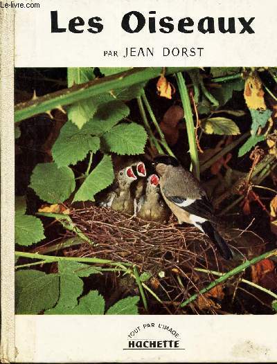 LES OISEAUX