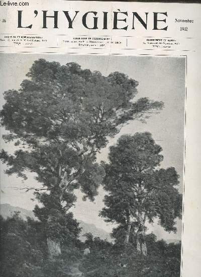 L'Hygine revue mensuelle illustre n36 novembre 1912 - La sant du peuple franais, la dclaration de la tuberculose - hygine des gens nerveux fonction du cerveau - l'hpital franais et la mdecine  Andrinople etc.