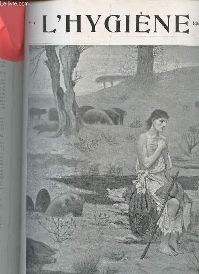 L'Hygine revue mensuelle illustre n46 septembre 1913 - Les dispensaires d'hygine sociale - l'pidmie de fivre typhode d'Avignon en 1912 - l'anaphylaxie alimentaire - hygine des gens nerveux prophylaxie etc.