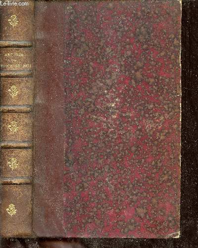 Pingot et moi - journal d'un officier d'artillerie.