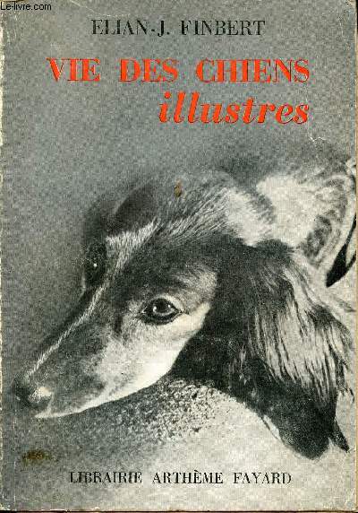 Vie des chiens illustrs.