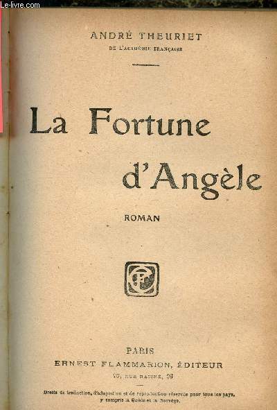 La fortune d'Angle - Roman.