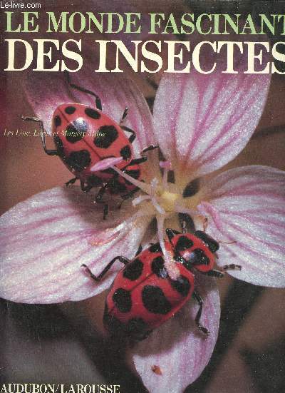 Le monde fascinant des insectes.