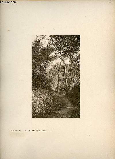 Le chemin romain, fouillis d'ombre et de lumire - Une photogravure en monochrome extraite de la revue mensuelle L'Algrie artistique et pittoresque (vers 1890).
