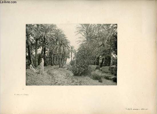 Entre de l'oasis Biskra - Une photogravure en monochrome extraite de la revue mensuelle L'Algrie artistique et pittoresque (vers 1890).