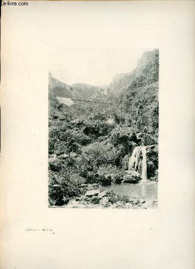 Cascades de Tlemcen - Une photogravure en monochrome extraite de la revue mensuelle L'Algrie artistique et pittoresque (vers 1890).