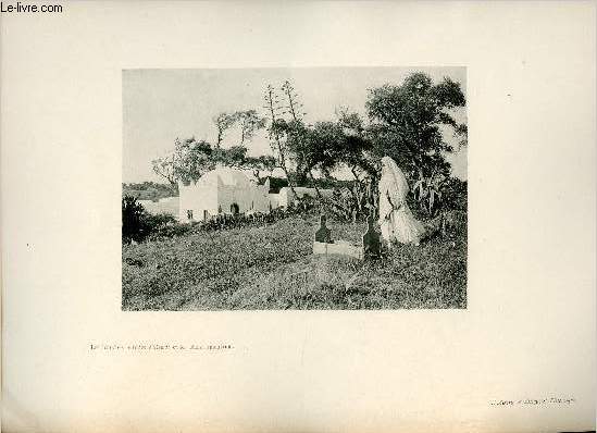 Les blanches femmes d'Orient et les blancs marabouts - Une photogravure en monochrome extraite de la revue mensuelle L'Algrie artistique et pittoresque (vers 1890).