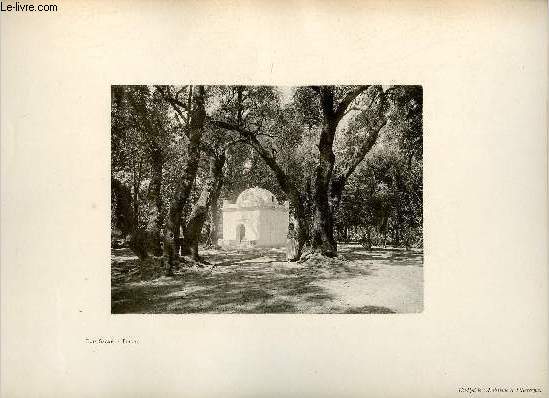 Bois sacr - Blida - Une photogravure en monochrome extraite de la revue mensuelle L'Algrie artistique et pittoresque (vers 1890).