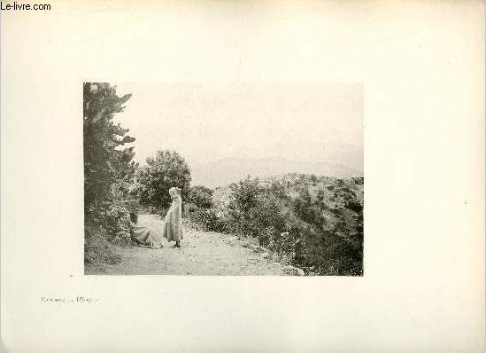 Montagnes du D'Jurjura - Une photogravure en monochrome extraite de la revue mensuelle L'Algrie artistique et pittoresque (vers 1890).