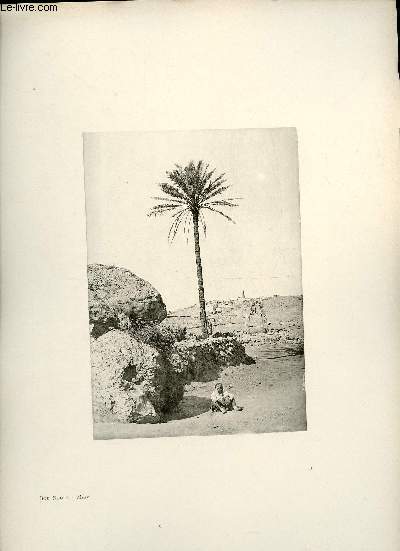 Bou Noura - Mzab - Une photogravure en monochrome extraite de la revue mensuelle 'Algrie artistique et pittoresque (vers 1890).