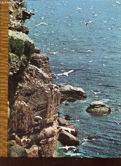 La vie fantastique des les et des ocans.