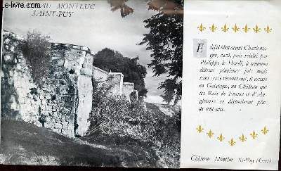 Une plaquette Chateau Montluc Saint-Puy.
