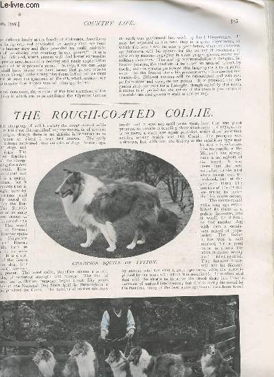 Country Life August 10th 1907 - INCOMPLET - The Rough-Coated Collie - Mr.Peterson the burglar - racing at goodwood - a book of the week - the heron - disposal of sewage in country houses - in the garden - after the bass. - with horse and hound etc.