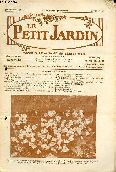 Le Petit Jardin n1252 10 aout 1924 31e anne - Une cole d'horticulture pour jeunes filles - les travaux du mois d'aout - pour former des tapis ou des bordures la campanule des carpathes est particulirement  recommander etc.