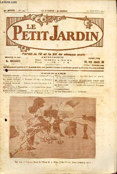 Le Petit Jardin n1256 10 octobre 1924 31e anne - Choux-fleurs pour culture  froid - pommes vitreuses et pommes ligeuses - travaux du mois d'octobre - les conserves de Coing - un nouveau Tilleul le tilleul de la Chine (Tilia Oliveri) etc.