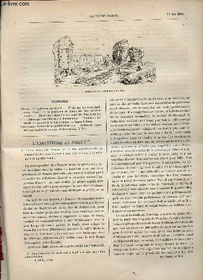 La Terre Sainte n58 4e srie 10e anne n213 15 mai 1884 - L'Angleterre en Orient - tude sur les noms bibliques (suite) - le patriarcat de Jrusalem et ses titulaires (suite) - administrateurs pendant la vacance du sige de Jrusalem (639-705) etc.