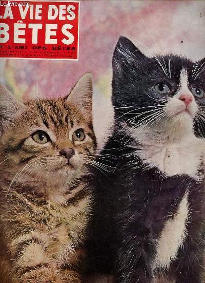 La vie des btes et l'ami des btes n40 novembre 1961 - La montagne aux oiseaux dans l'ile aux ours - les speleologues font d'tranges rencontres d'etres vivants - le bestiaire des sagesses - poissons d'aquarium - tete ronde et pelage de velours etc.