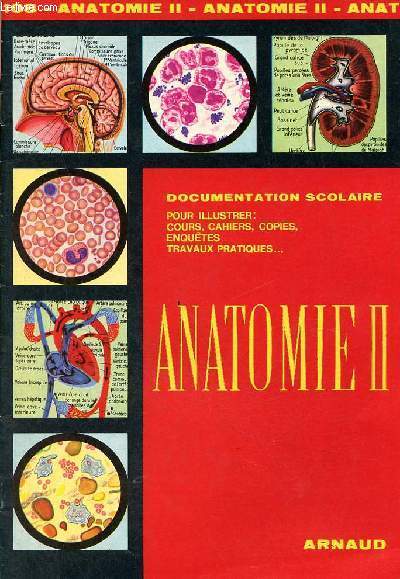Anatomie II - Documentation scolaire n108.
