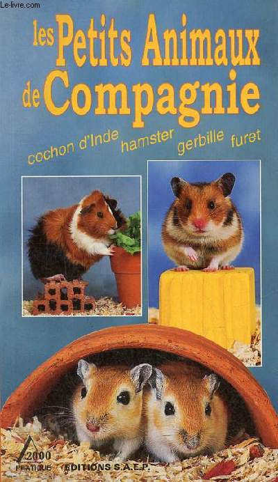 Les petits animaux de compagnie - Cochon d'Inde - Hamster - Gerbille - Furet.