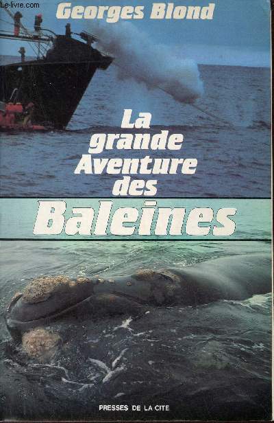 La grande aventure des Baleines.