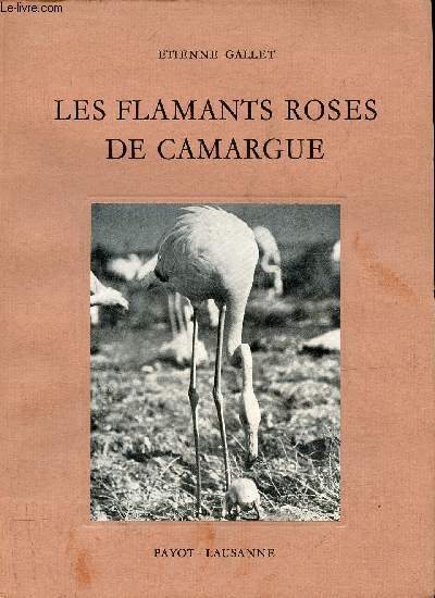 Les flamants roses de Camargue.