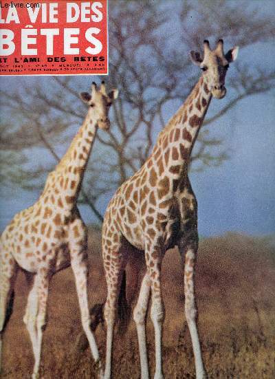 La vie des btes et l'ami des btes n49 aot 1962 - Extravagantes girafes - les bisons de la grande prairie - le livre et ses msytres - le miracle du chamois - la mort subite des mammouths - le role des oiseaux dans la forts etc.