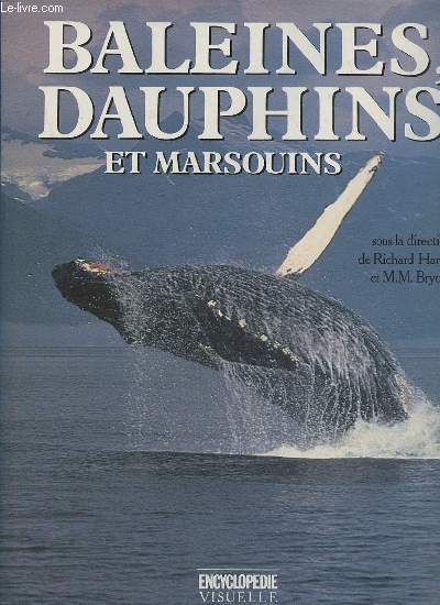 Baleines, dauphins et marsouins.