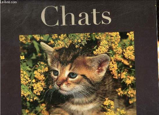 Calendrier Chats 2012 - Editions Place des victoires Paris.